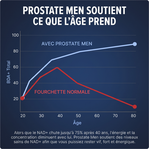 Liposomal NAD+ pour hommes